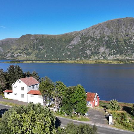 Wildlife Panorama Lofoten Bostad Esterno foto