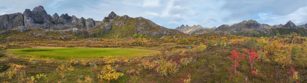 Wildlife Panorama Lofoten Bostad Esterno foto