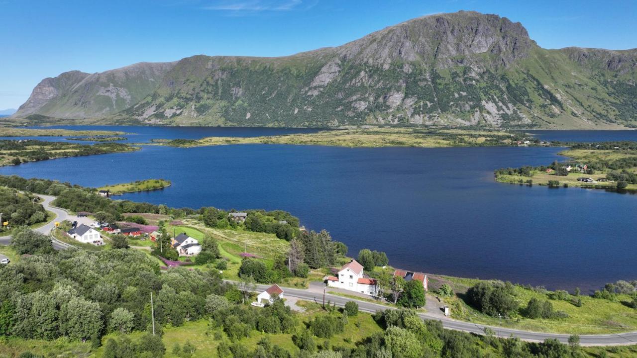Wildlife Panorama Lofoten Bostad Esterno foto