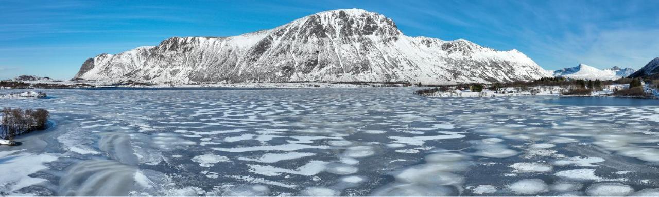 Wildlife Panorama Lofoten Bostad Esterno foto