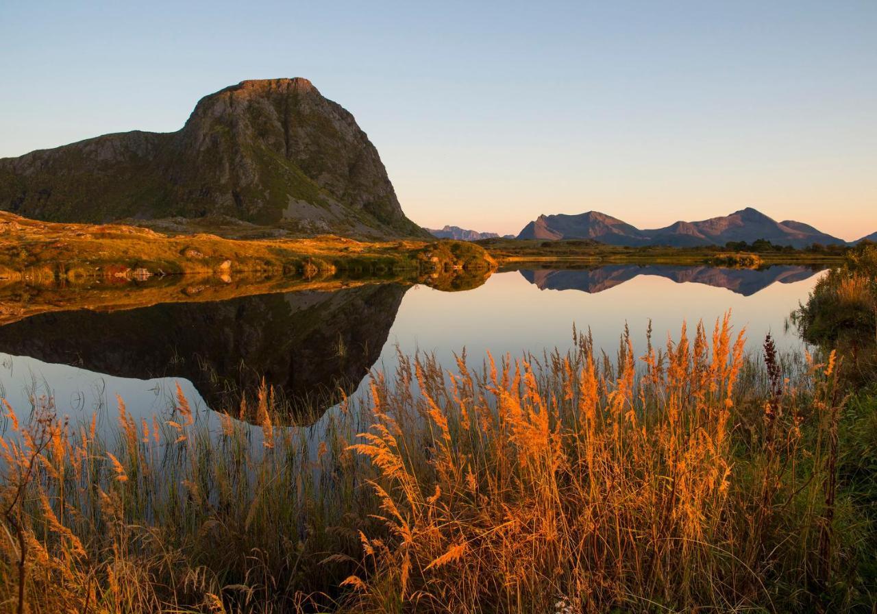 Wildlife Panorama Lofoten Bostad Esterno foto